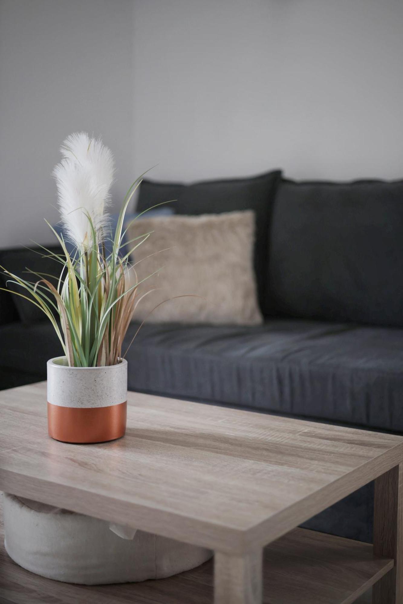 Appartement Familial Avec Jardin Ensoleille Dans La Cite Des Potiers Vallauris Ngoại thất bức ảnh